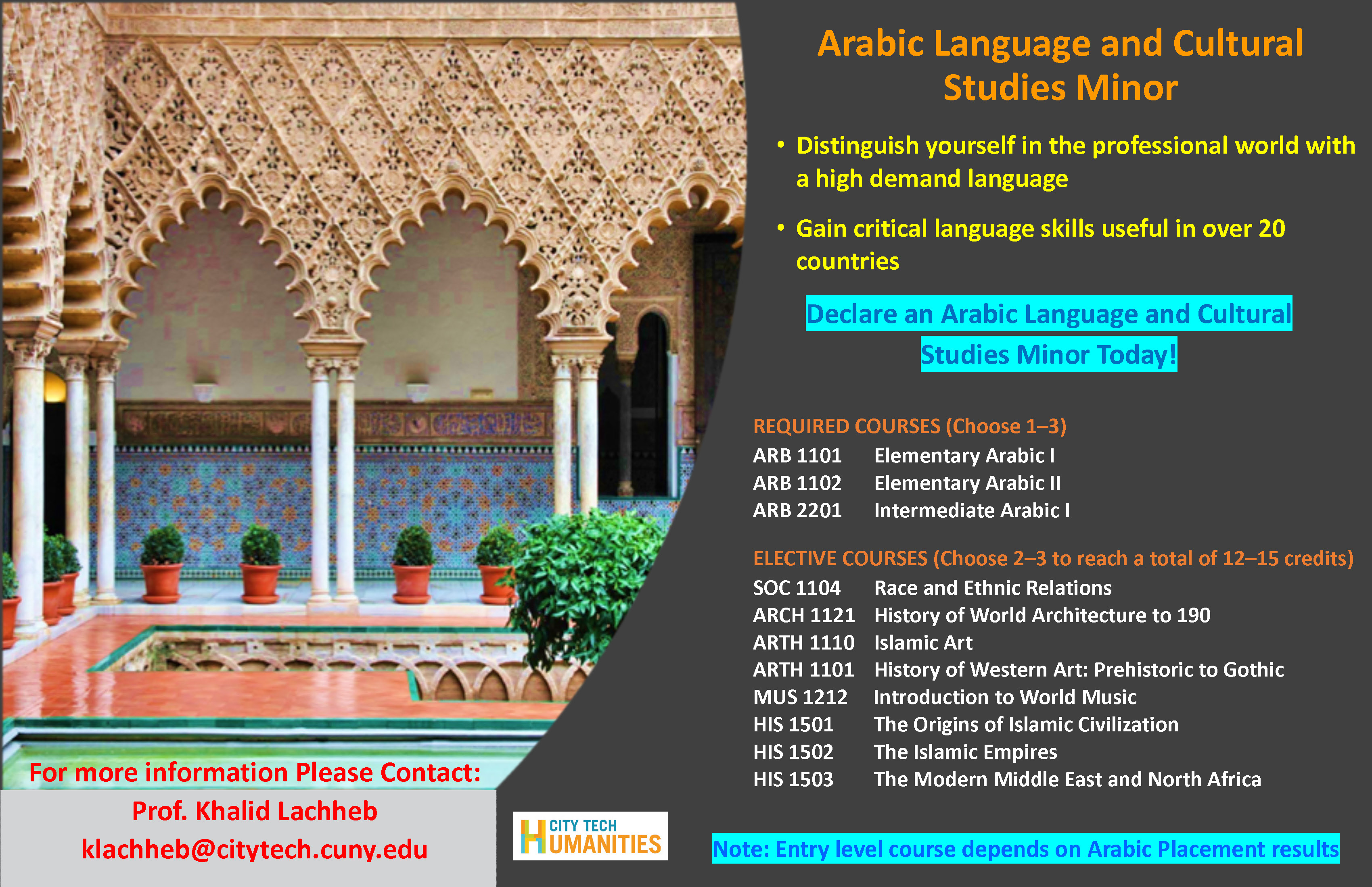 Arabic Language and Cultural Studies Minor