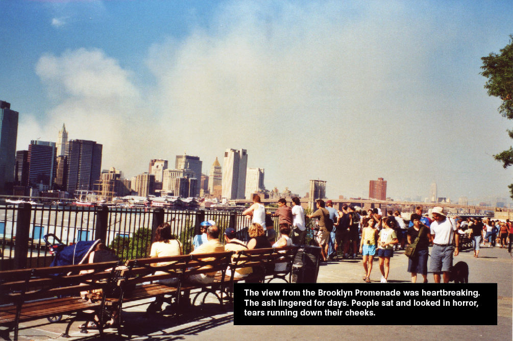 A view of Manhattan Skyline from Brooklyn promenade