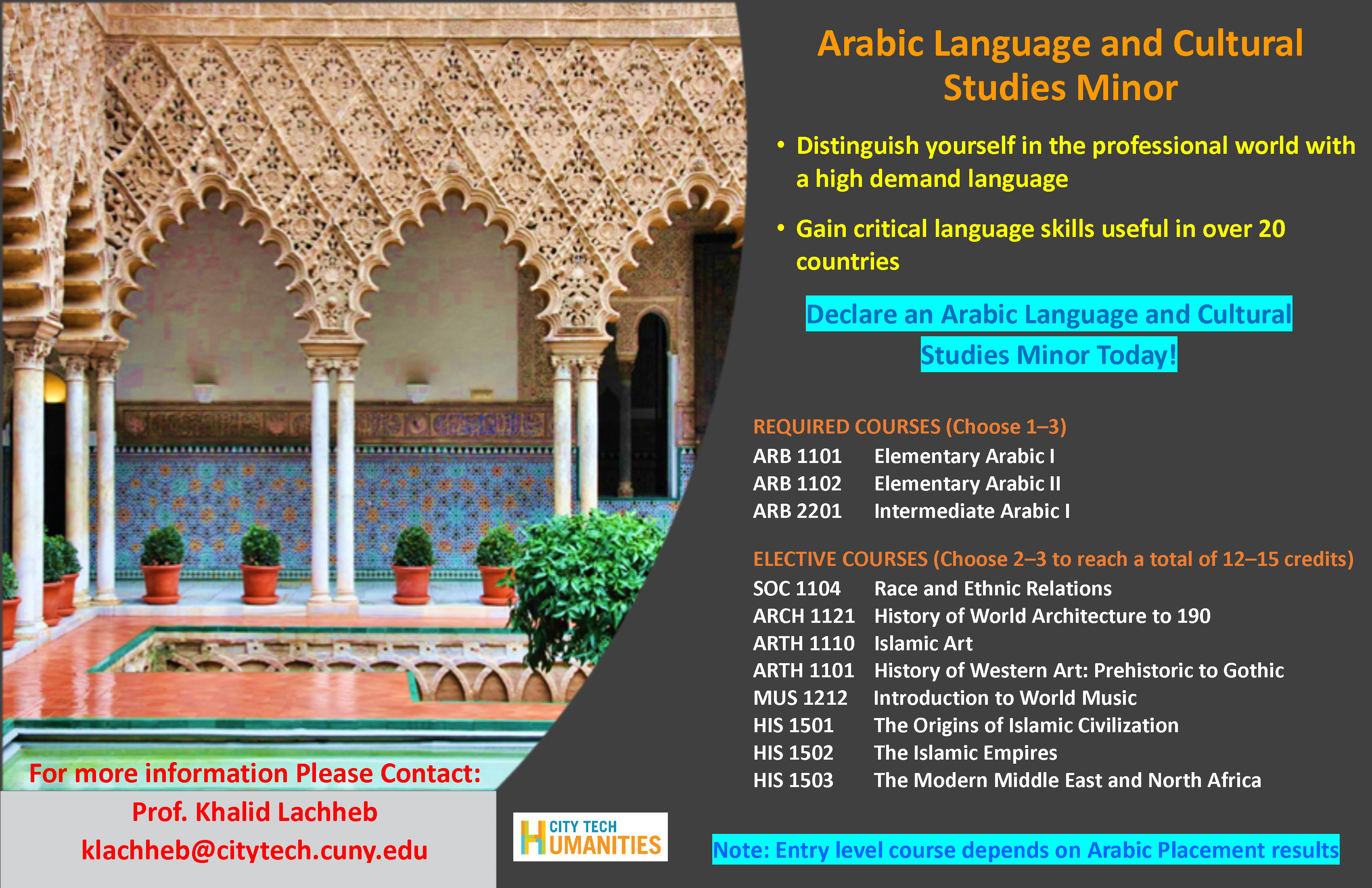 Arabic Language and Cultural Studies Major